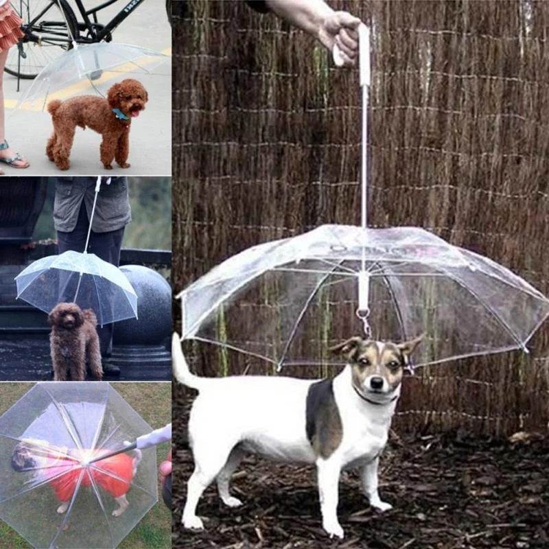 Clear Pet Rain Umbrella