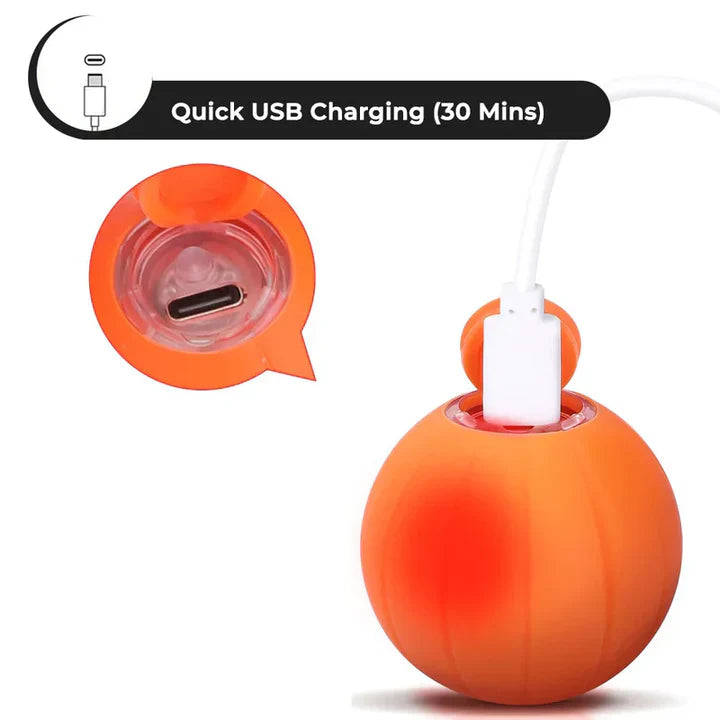 Limited Edition Fun Pet Ball
