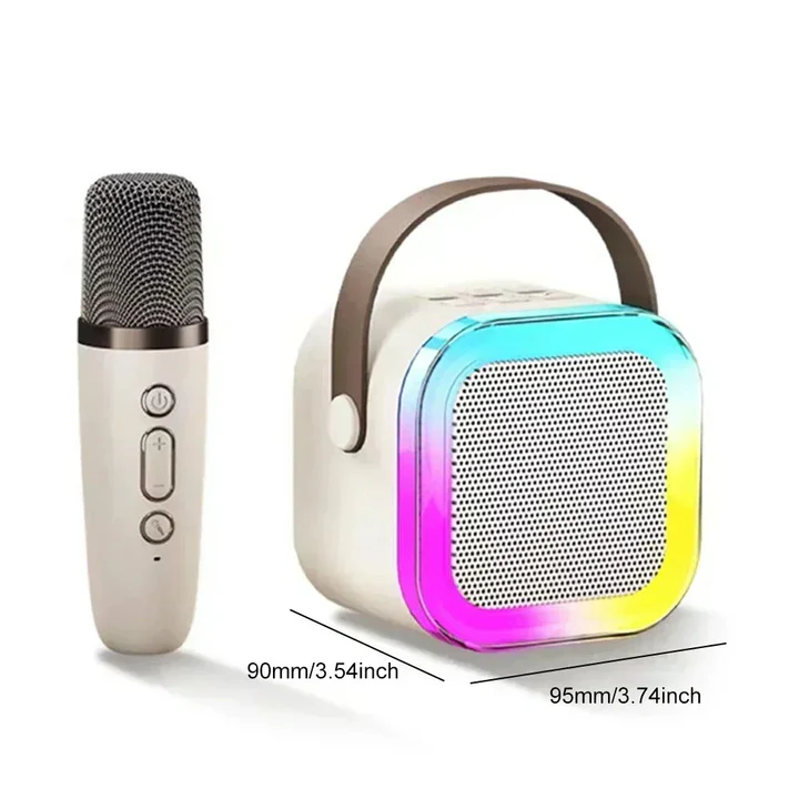 Compact Karaoke System With Dual Mics