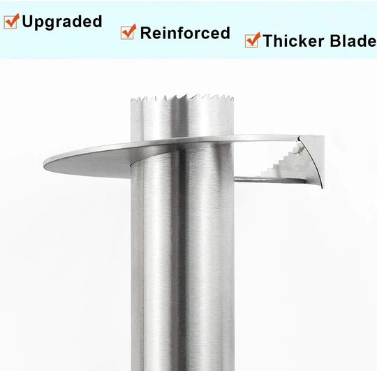 Easy Fresh Fruit Corer