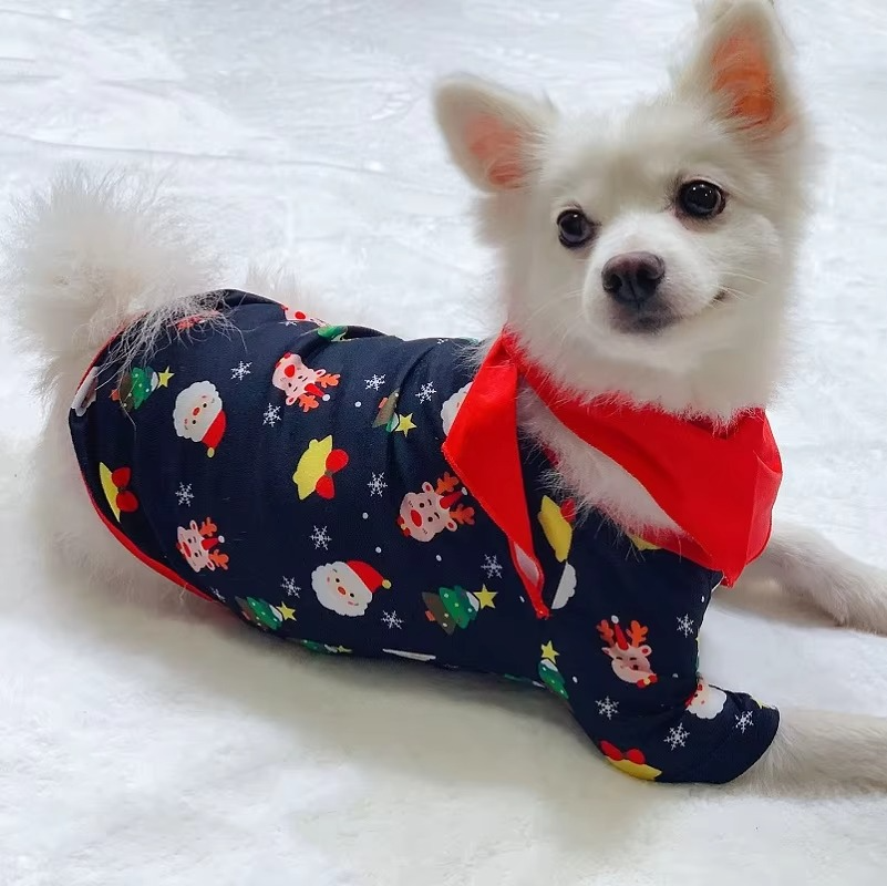 Holiday Matching Pajama Sets for Family