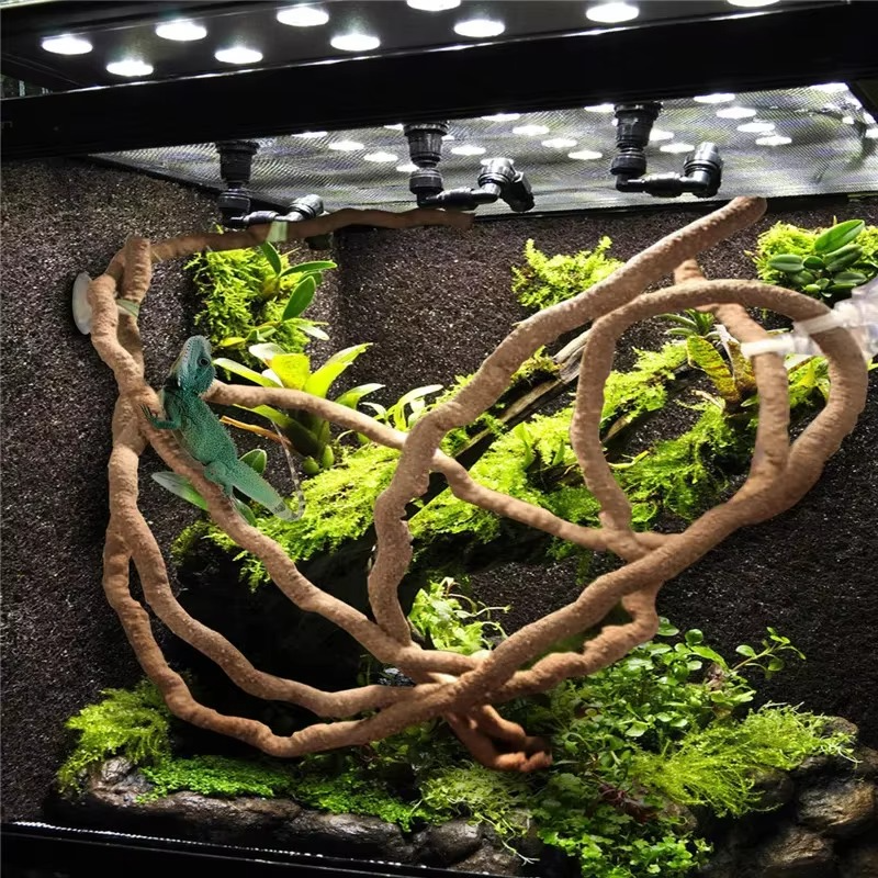 Natural Jungle Plant Terrarium Decoration