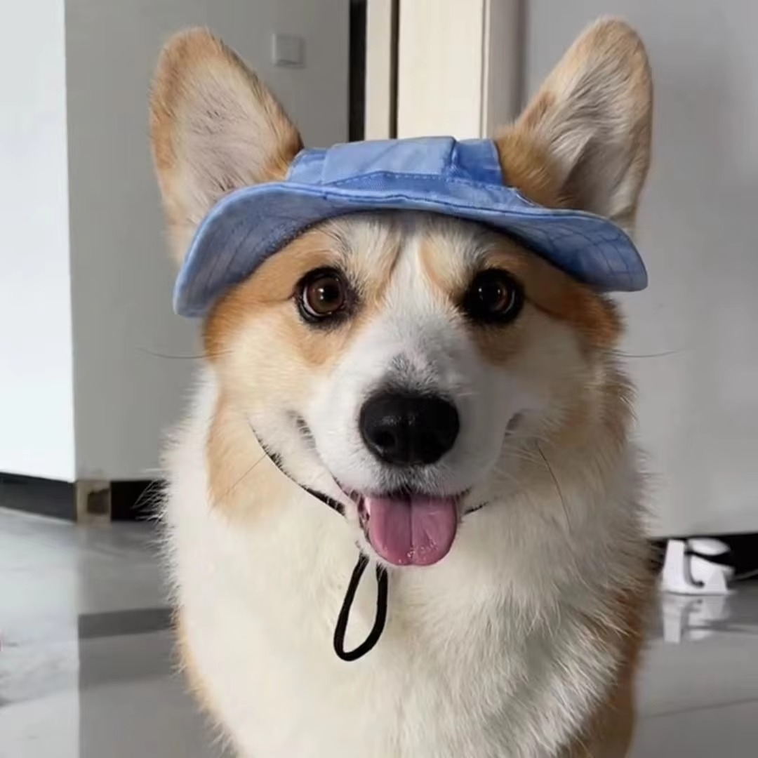 Cooling Pet Sun Cap