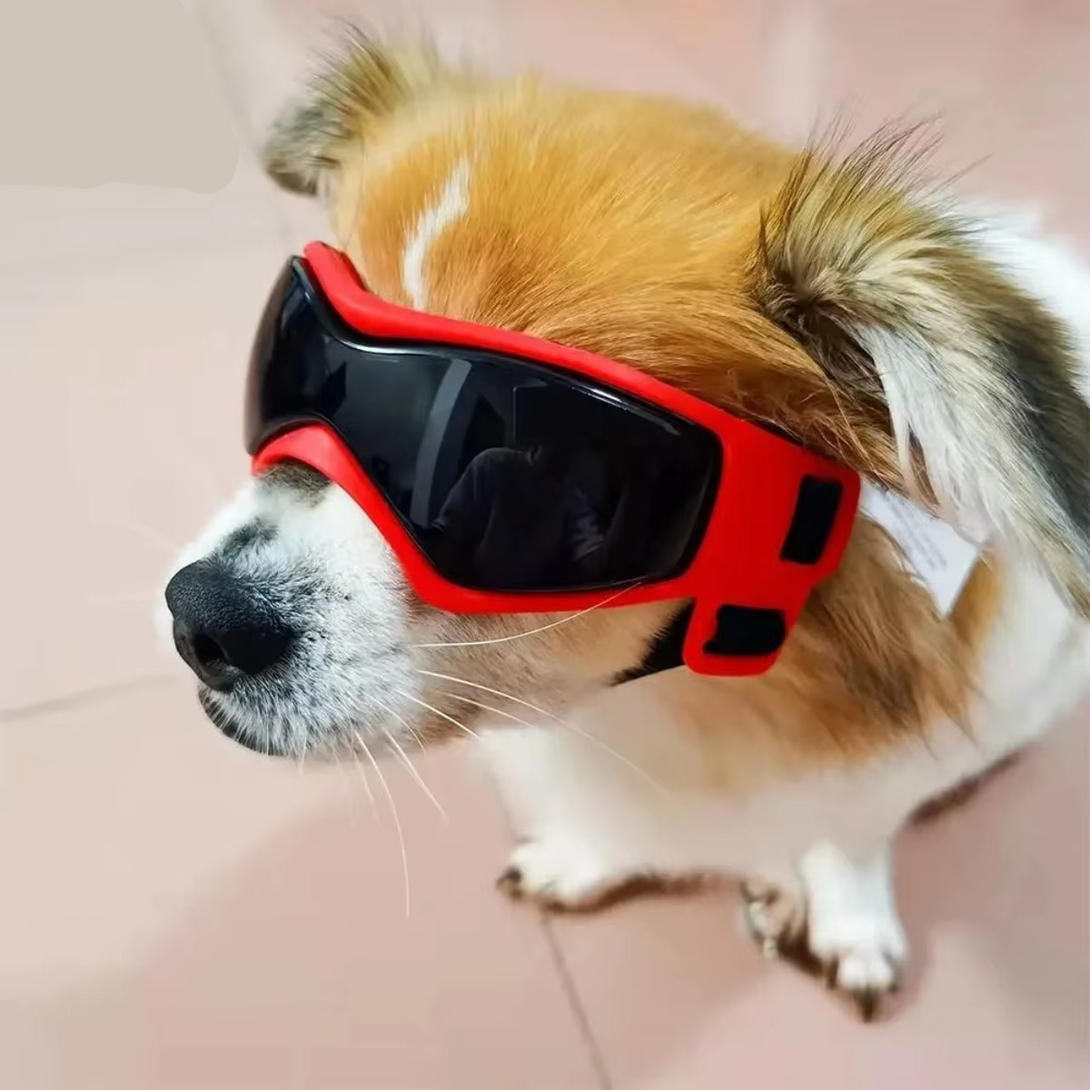 Pet Dog Shades with Adjustable Bands