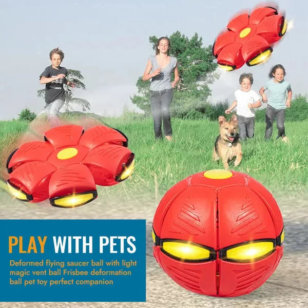 Fun Interactive Bouncy Dog Toy