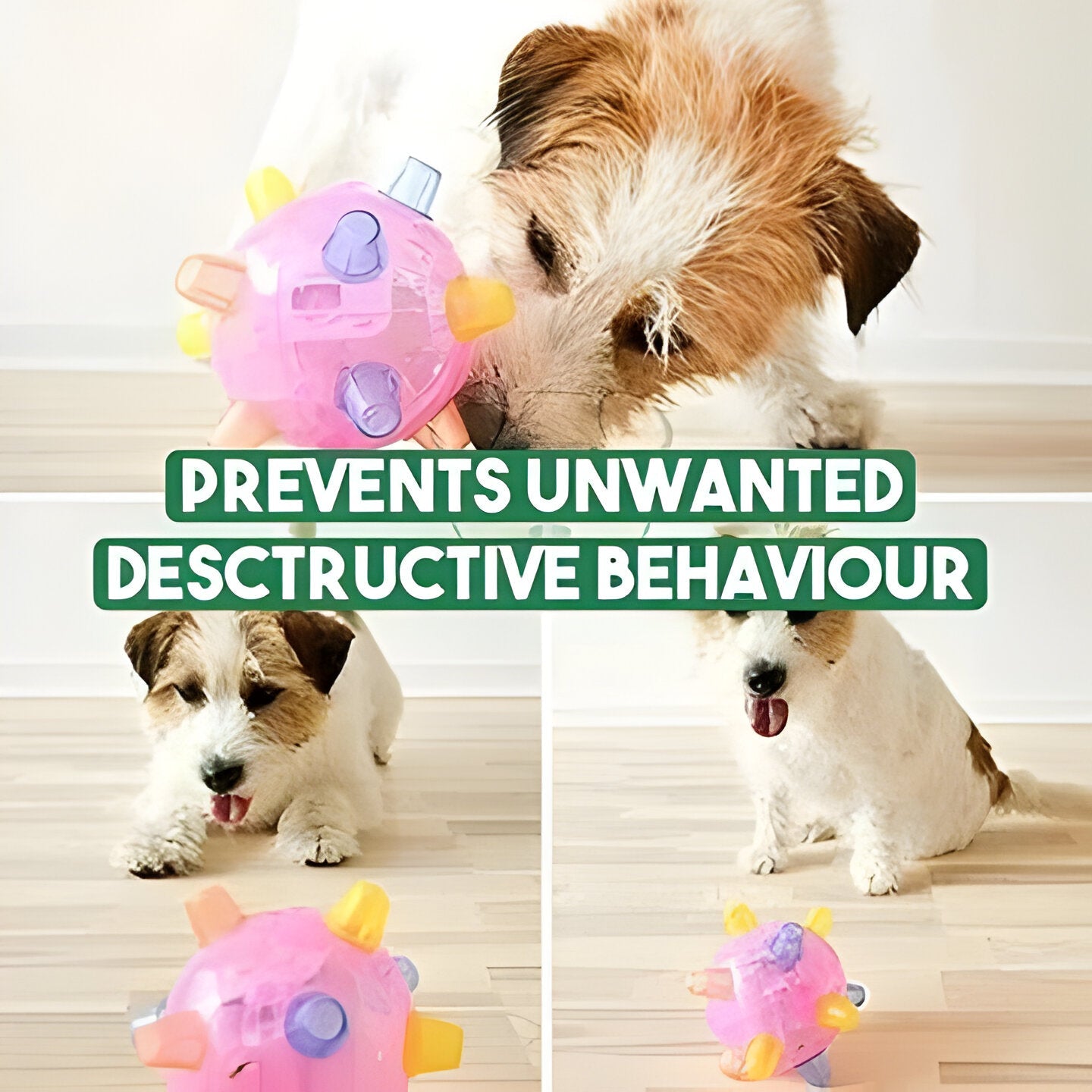 Bouncy Interactive Dog Play Ball