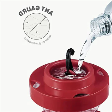 Easy Clean Hummingbird Feeders with Built-in Perch