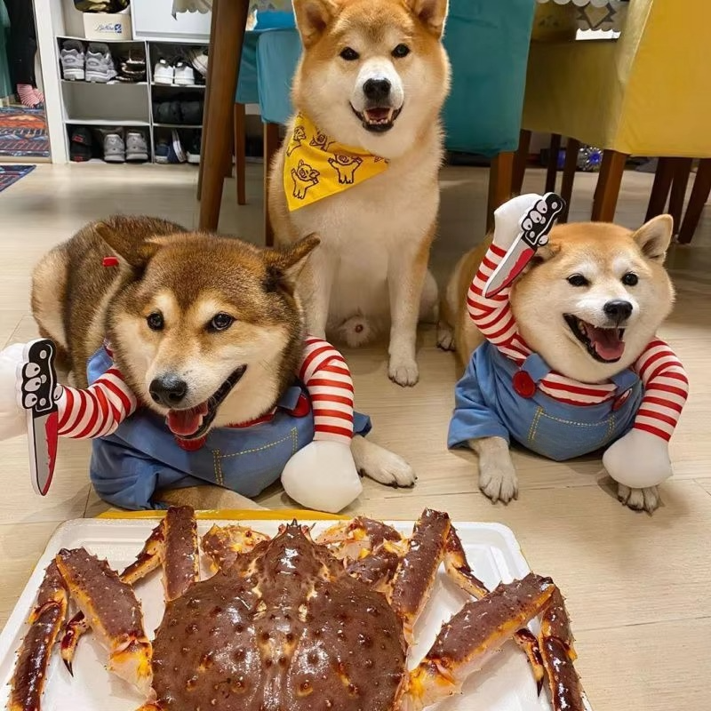 Spooky Horror Pet Costume for Dogs Cats