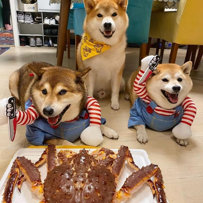 Spooky Horror Pet Costume for Dogs Cats