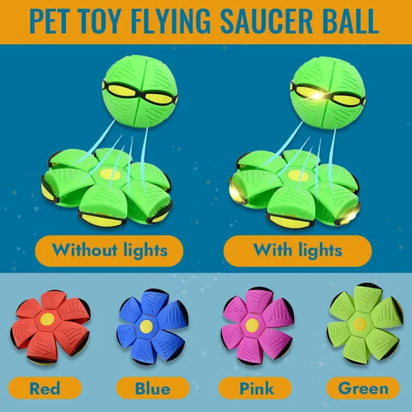 Fun Interactive Bouncy Dog Toy