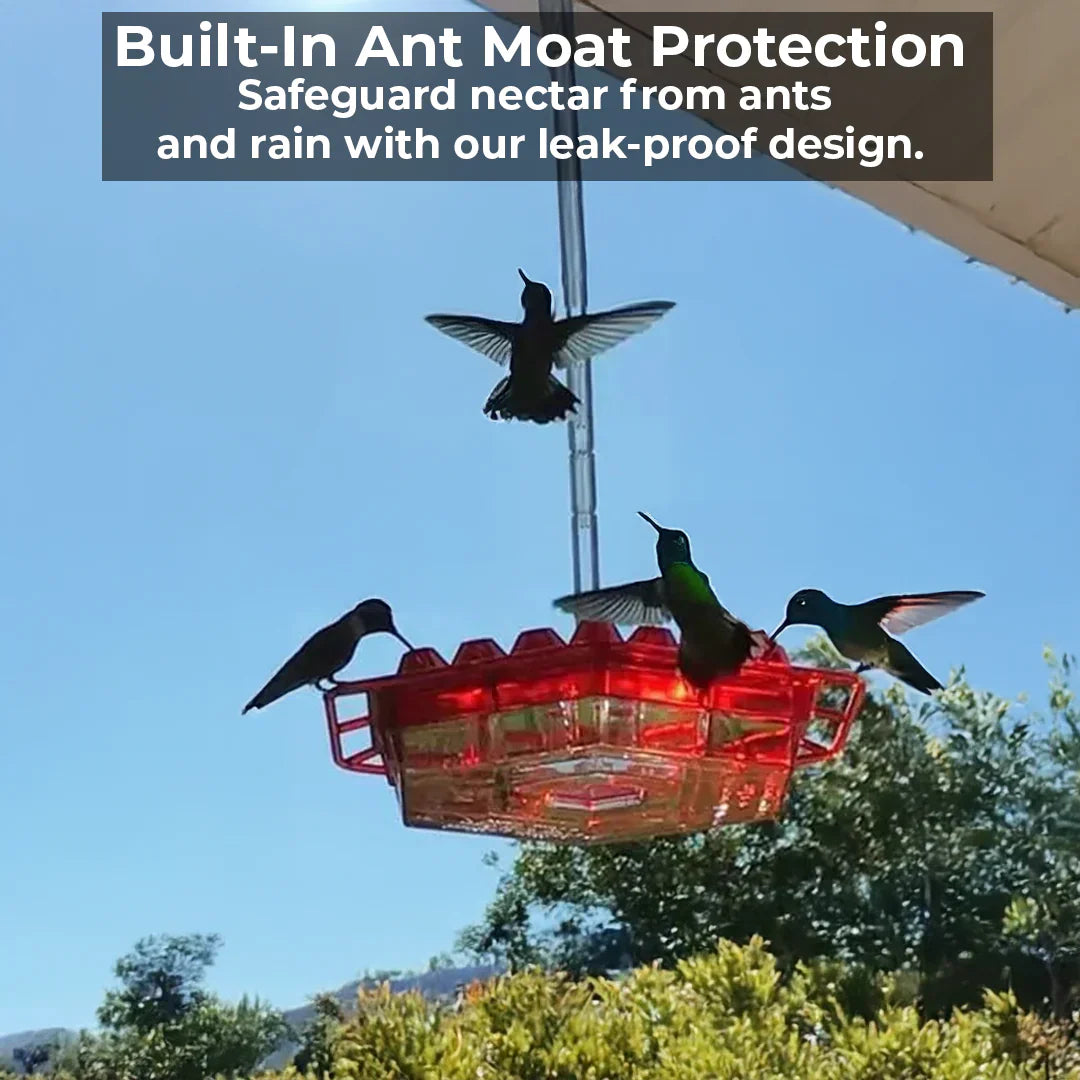 Squirrel-Proof Bird Feeder with 30 Pest-Resistant Holes