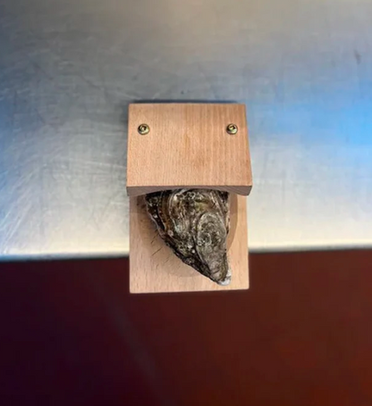 Easy Shellfish Opening Tool