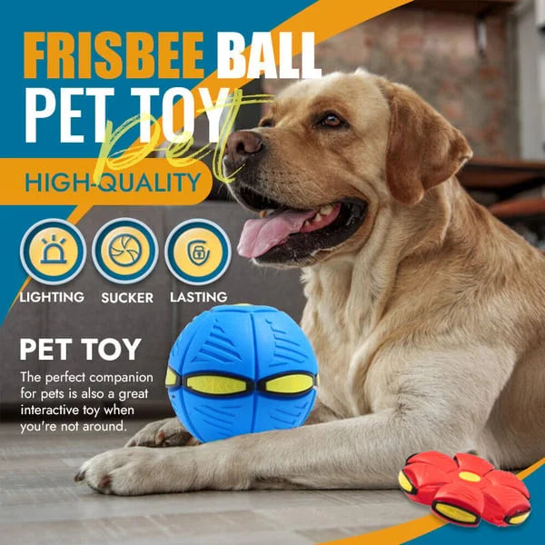 Fun Interactive Bouncy Dog Toy