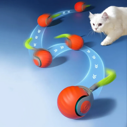 Fun Electronic Pet Ball Toy