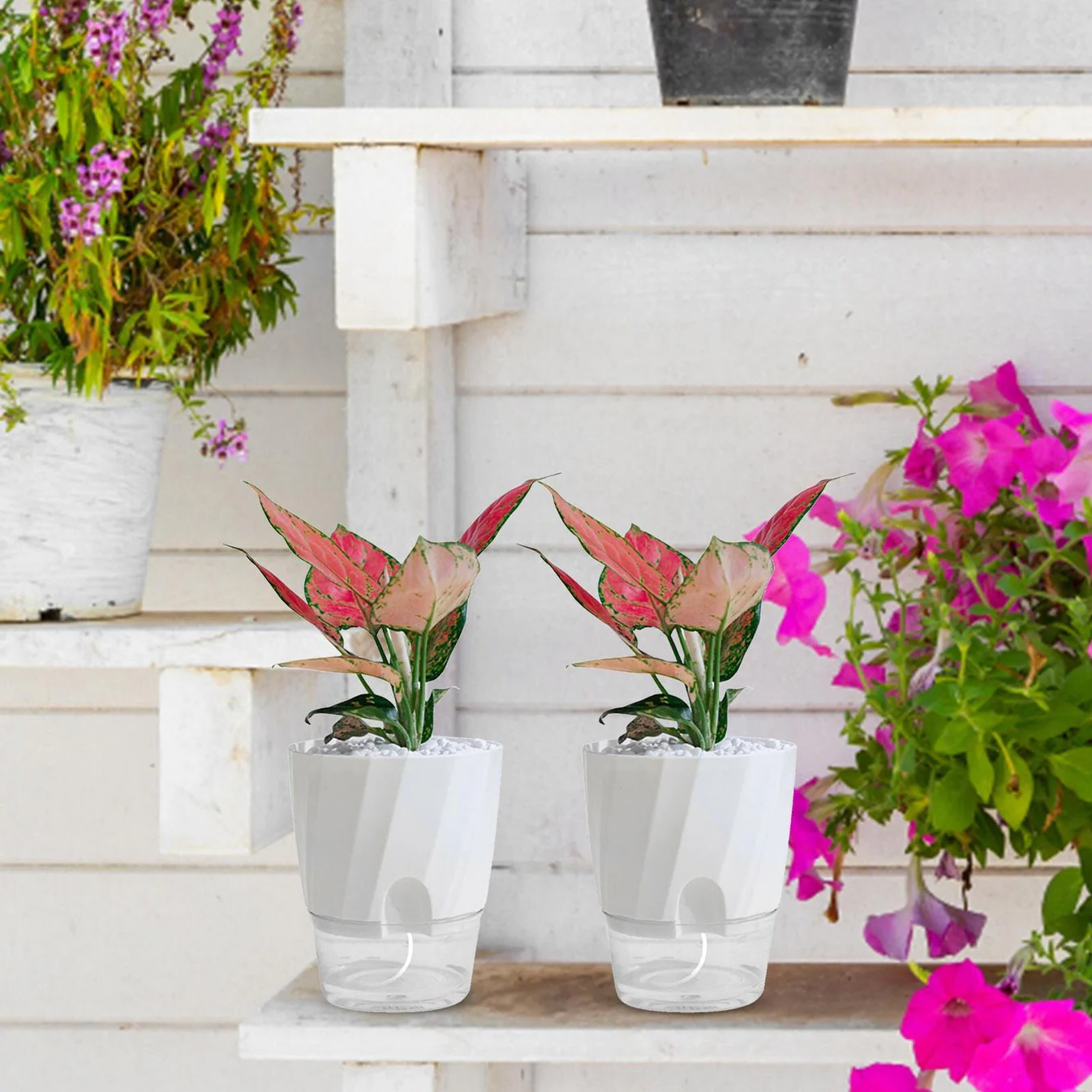 Automatic Watering Flower Pot