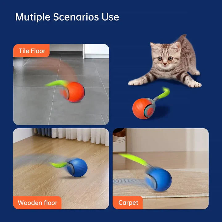Fun Electronic Pet Ball Toy