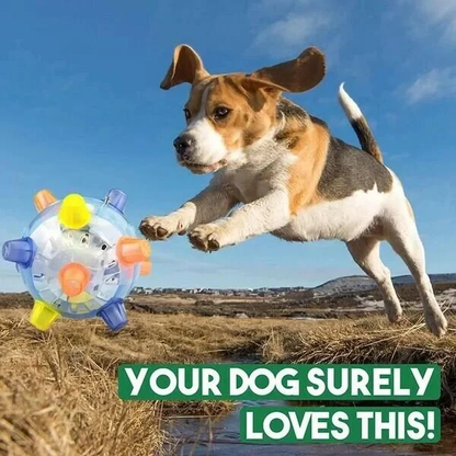 Fun Interactive Bouncy Dog Ball