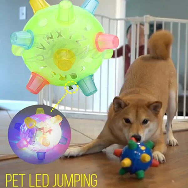Fun Interactive Bouncy Dog Ball