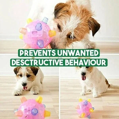 Fun Interactive Bouncy Dog Ball