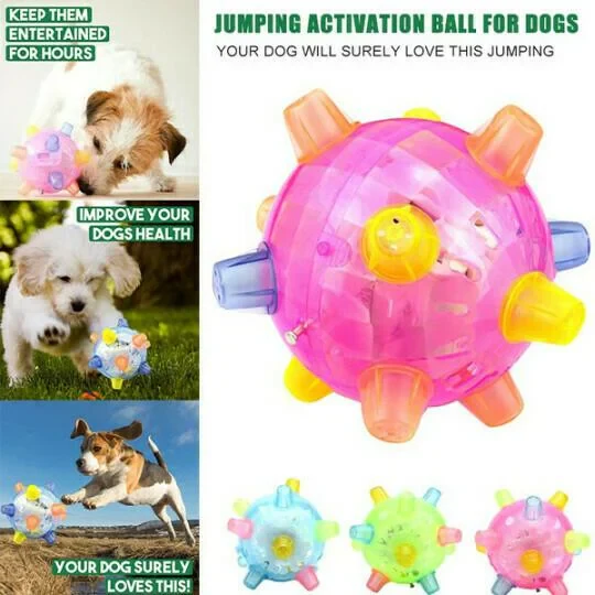 Fun Interactive Bouncy Dog Ball