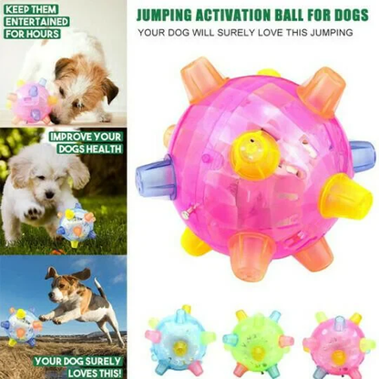 Fun Interactive Bouncy Dog Ball