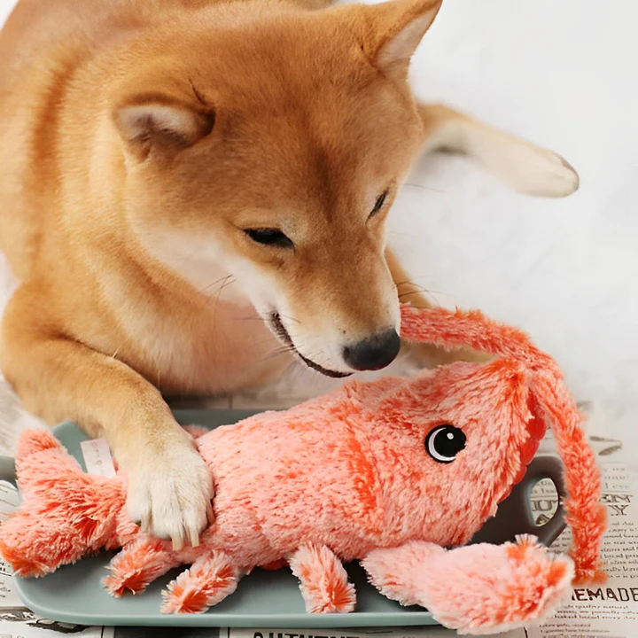 Fun Crinkle Lobster Dog Toy - Hehif