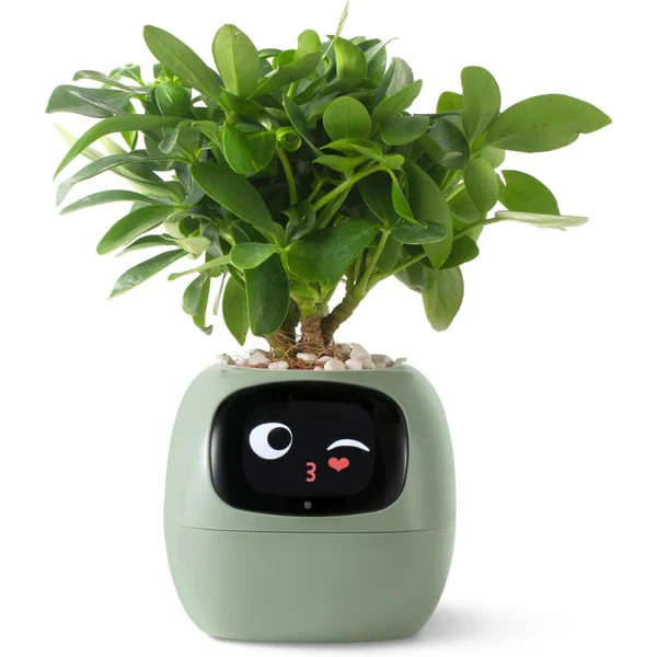 Intelligent Self Watering Planter Pot