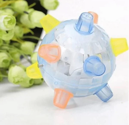 Fun Interactive Bouncy Dog Ball