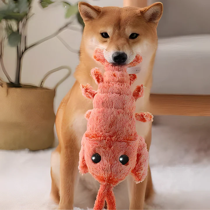 Fun Crinkle Lobster Dog Toy