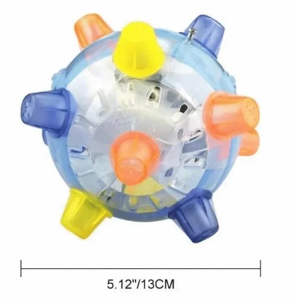 Fun Interactive Bouncy Dog Ball