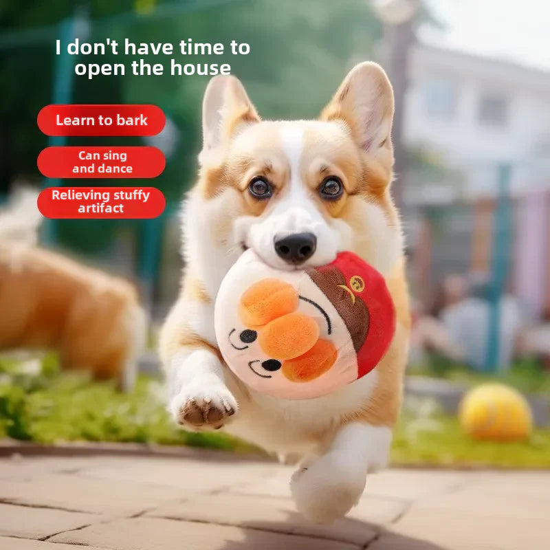 Fun Pet Play Toy