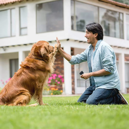 Effective Dog Bark Control Ultrasonic Stopper