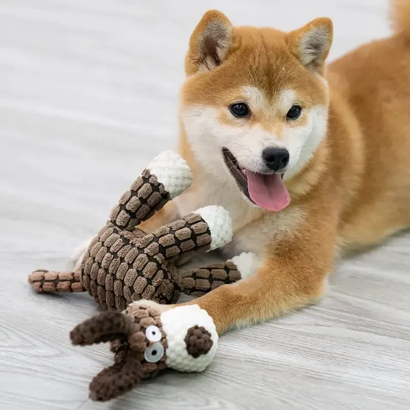 Durable Chew Proof Dog Toy