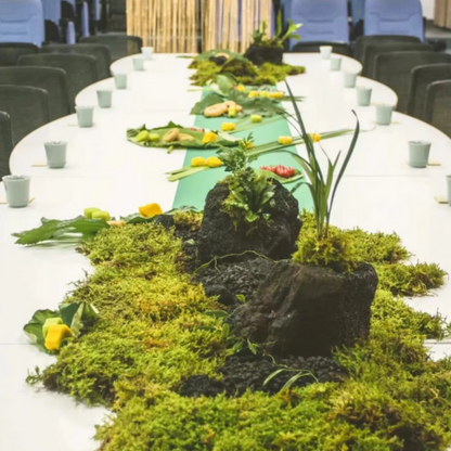 Natural Green Moss for Pots and Home Decoration