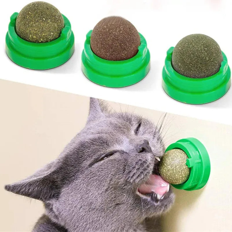Fun Cat Interactive Wall Toy - Hehif