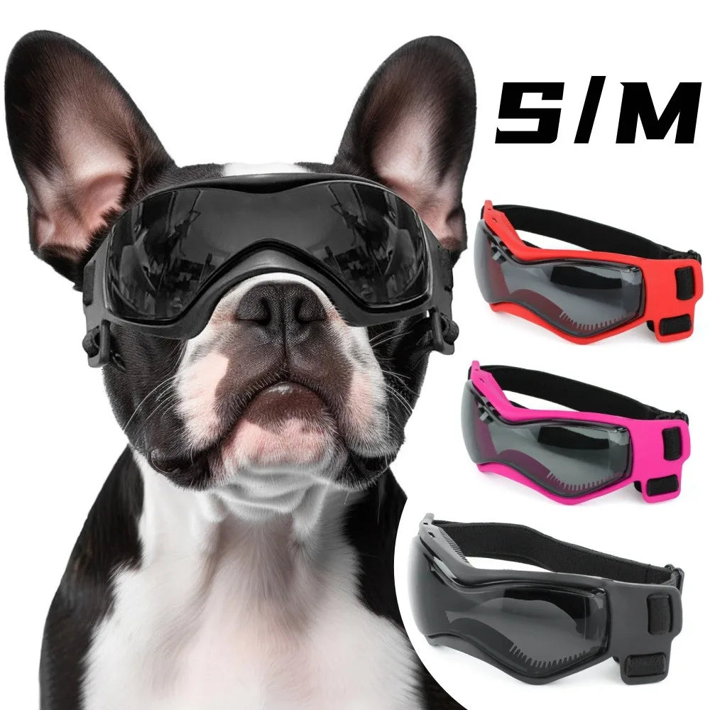 Comfortable Pet Sunglasses for Small Dogs