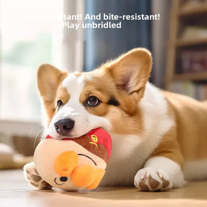 Fun Pet Play Toy