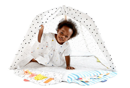 Fun Childrens Indoor Play Gym