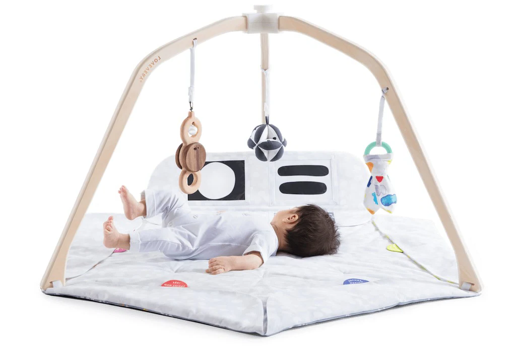 Fun Childrens Indoor Play Gym
