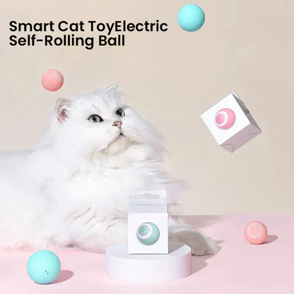 Interactive Dual Action Cat Hunting Toy