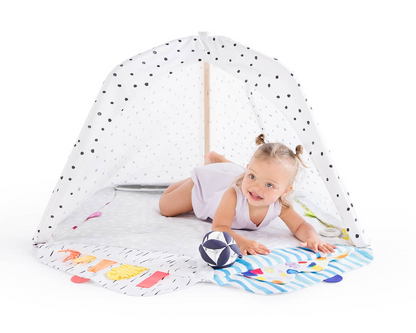 Fun Childrens Indoor Play Gym