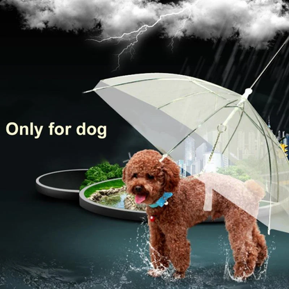 Clear Pet Rain Umbrella