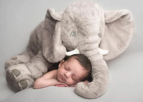 Soft Plush Baby Animal Pillow