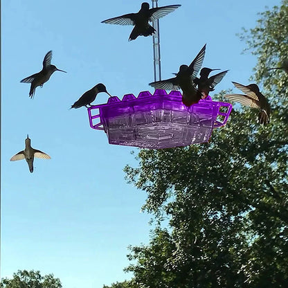 Squirrel Resistant Bird Feeder Hanging Outdoor Feeder - Hehif