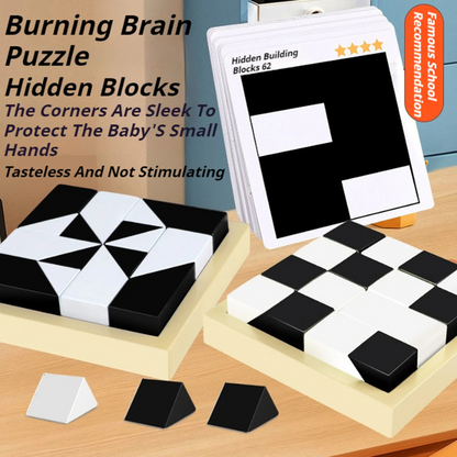 Learning Concealed Brick Challenge Toys