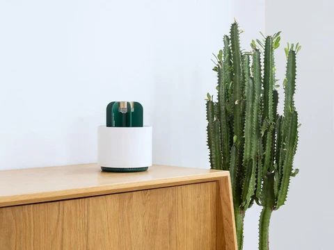 Unique Desert Table Lamp - Hehif