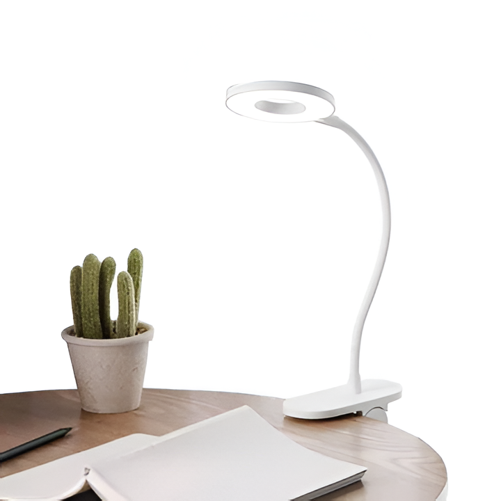 Portable LED Desktop Clip Light