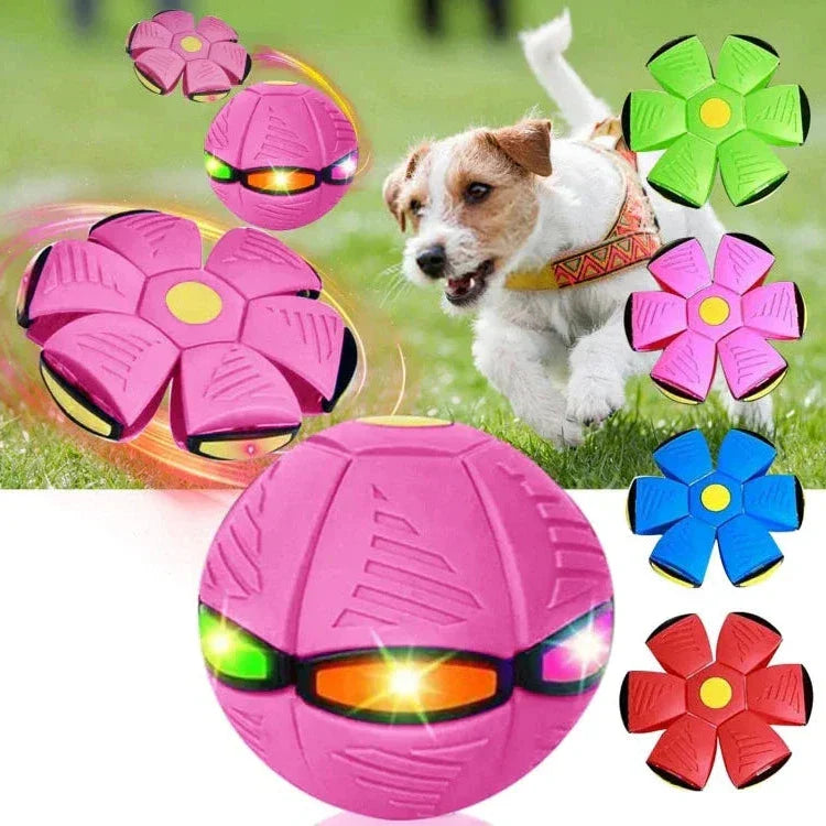 Fun Interactive Bouncy Dog Toy