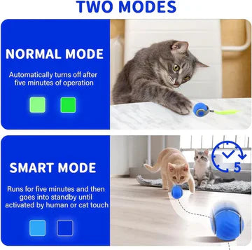 Fun Electronic Pet Ball Toy