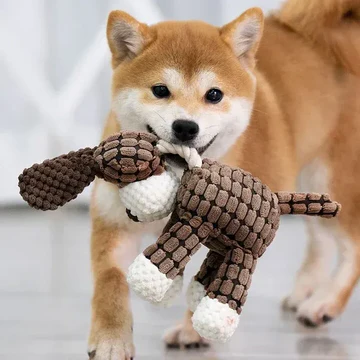 Durable Chew Proof Dog Toy